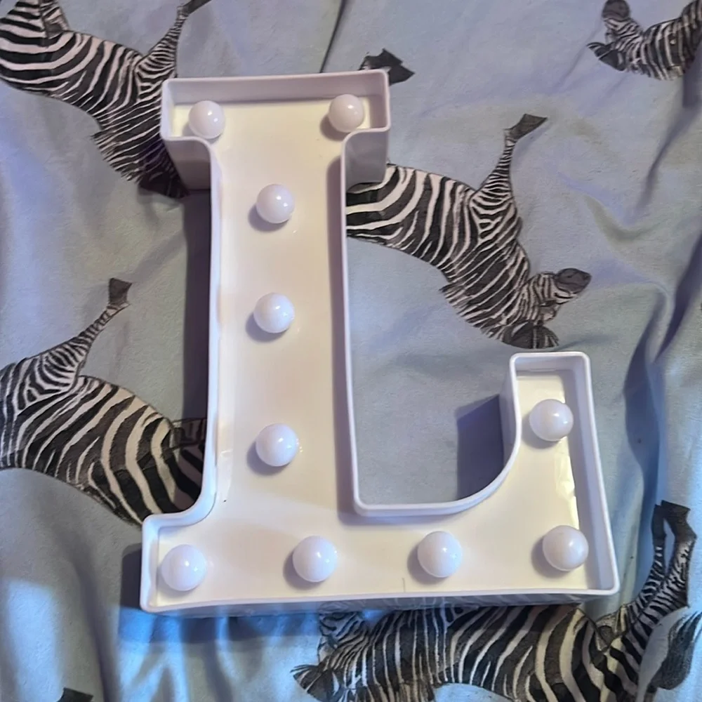 LED light L